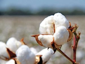 "Місто вимерло, зв’язку не було": перехоплення ГУР викрило зневіру росіян у пропаганді через удари у відповідь